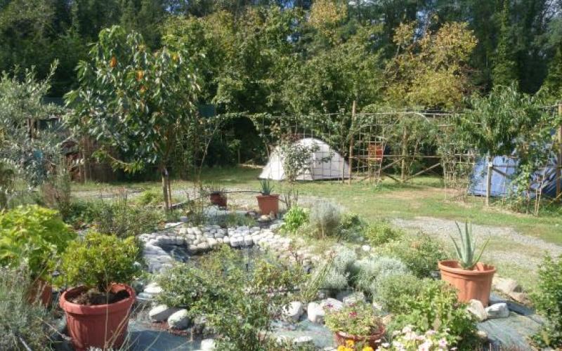 Arcola camping Arcola camping